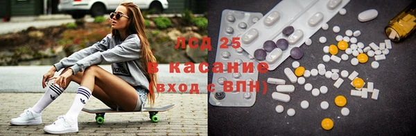 крисы Вязьма