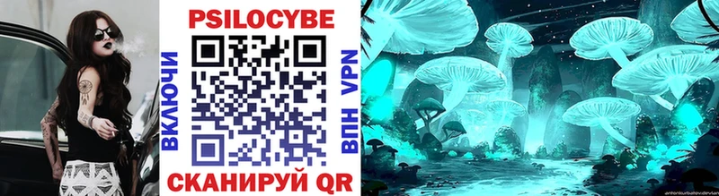 купить наркотики сайты  shop клад  Галлюциногенные грибы Psilocybe  Новосокольники 
